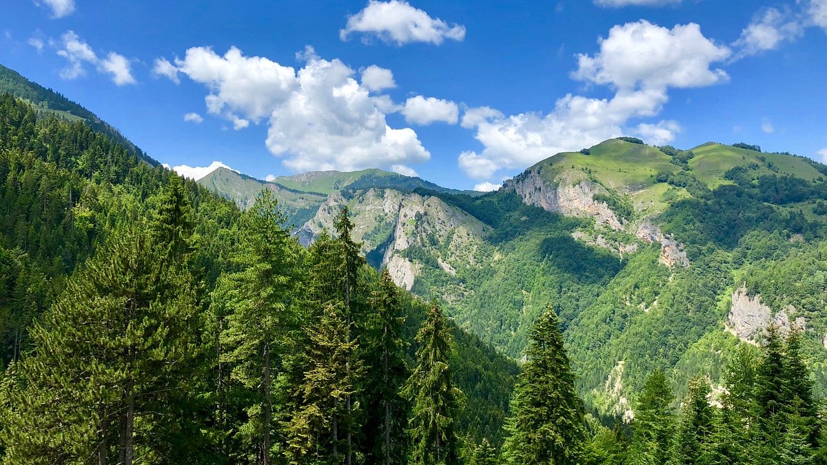 thirrje për aplikim për pjesëmarrje në aktivitetin  workshop dy ditor në rugovë – “integriteti dhe aftësitë studentore”-image